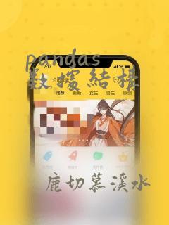 pandas 数据结构