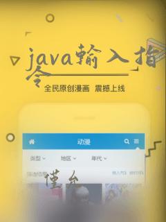 java输入指令
