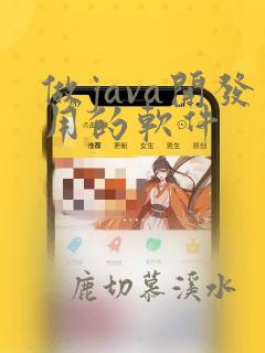 做java开发用的软件