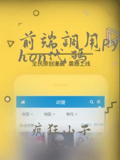 前端调用python代码