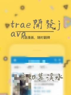 trae开发java