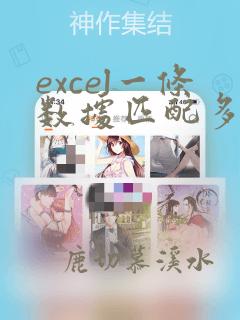 excel一条数据匹配多条数据