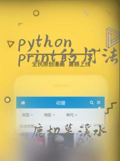 python print的用法