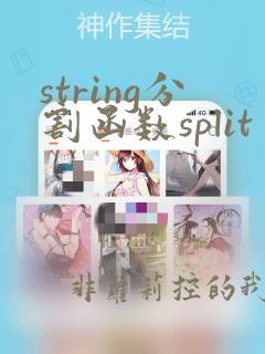string分割函数split