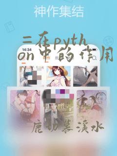 =在python中的作用