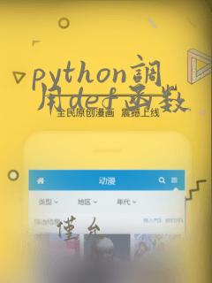 python调用def函数