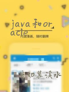 java和oracle