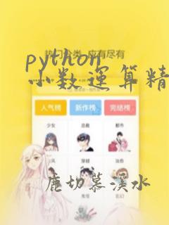 python 小数运算精度