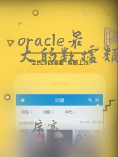 oracle最大的数据类型