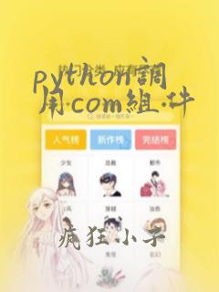 python调用com组件