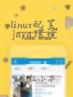 linux配置java环境