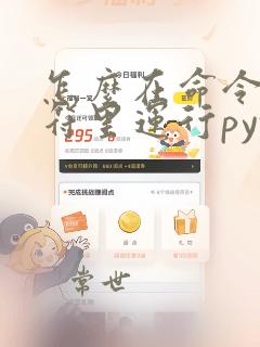 怎么在命令提示符里运行python程序