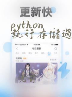 python 执行存储过程