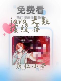 java 大数据缓存