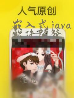 嵌入式java软件开发