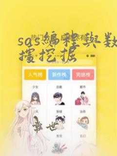 sas编程与数据挖掘