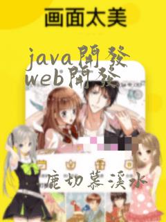 java开发 web开发