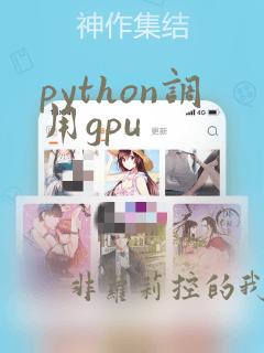 python调用gpu