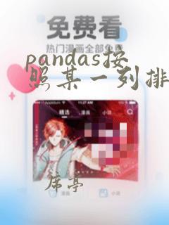 pandas按照某一列排序