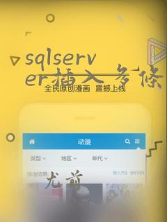 sqlserver插入多条数据