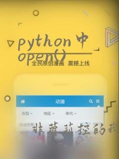 python中open()