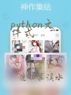 python文件式