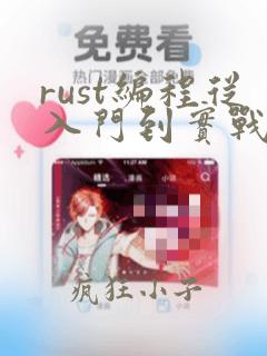 rust编程从入门到实战 pdf