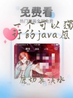 一个可以独立运行的java应用程序()