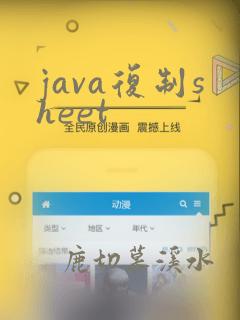 java复制sheet