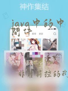 java中的中间件