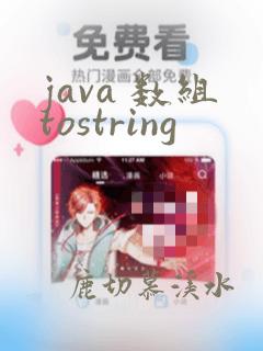 java 数组tostring