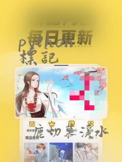 python 标记