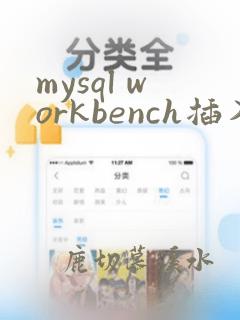 mysql workbench插入数据