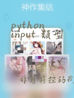 python input 类型
