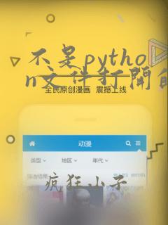 不是python文件打开的合法模式组合是