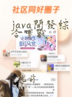 java开发综合实战
