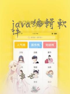 java编辑软件