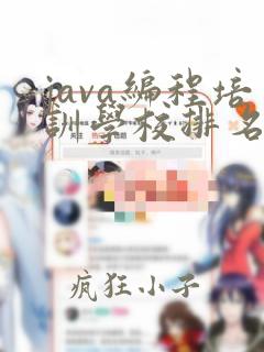 java编程培训学校排名