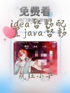idea启动配置java启动参数