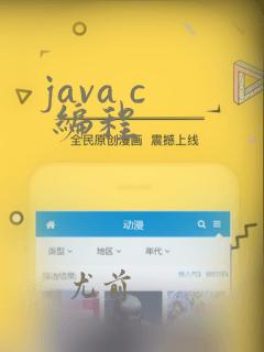 java c  编程