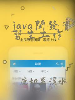 java开发实习生工作