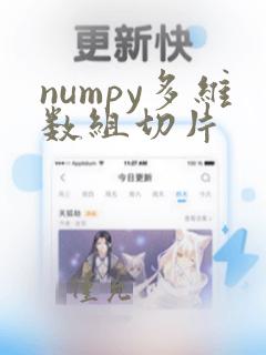 numpy多维数组切片