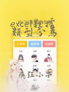 excel数据类型分为