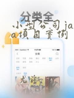 小型公司java项目实例