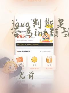 java判断是否为int类型