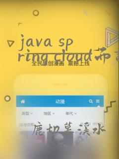 java spring cloud面试题