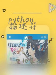 python 描述符