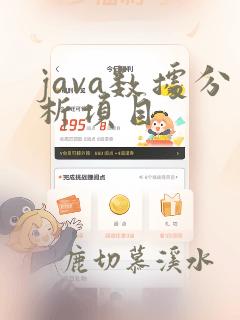 java数据分析项目