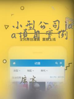 小型公司java项目实例