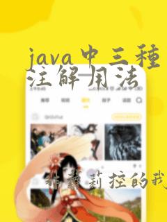 java中三种注解用法